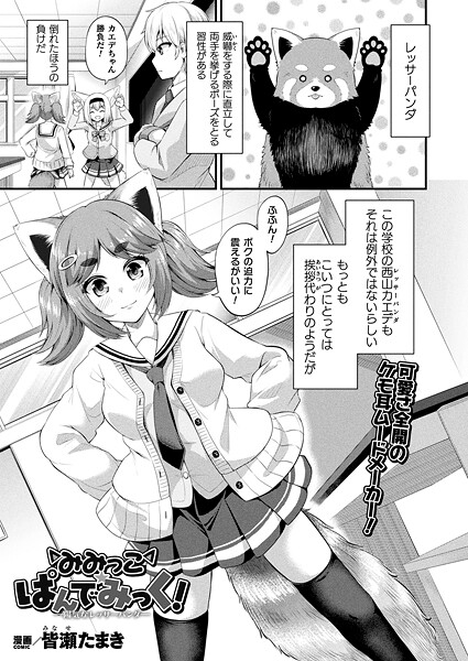 皆瀬たまき❤ファンタジー-みみっこ・ぱんでみっく！―陽気なレッサーパンダ―【単話】/