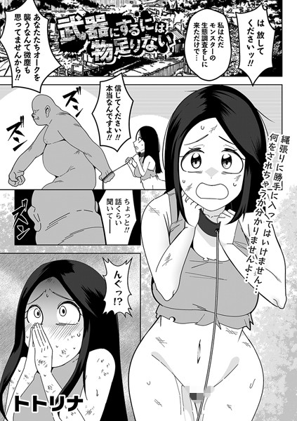 トトリナ❤ファンタジー-武器にするには物足りない/