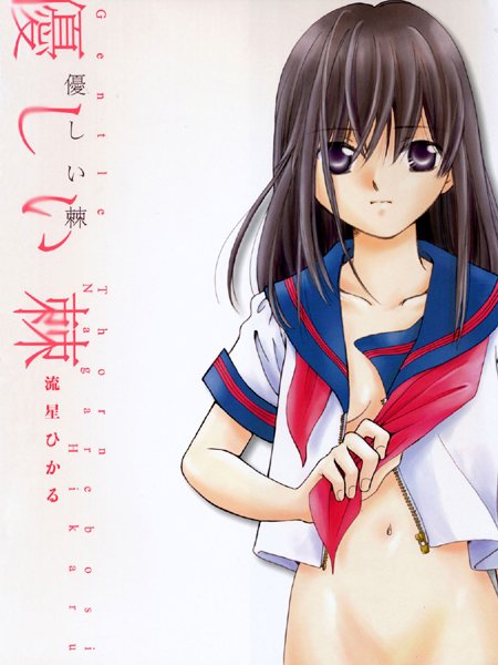 流星ひかる❤単行本-優しい棘/