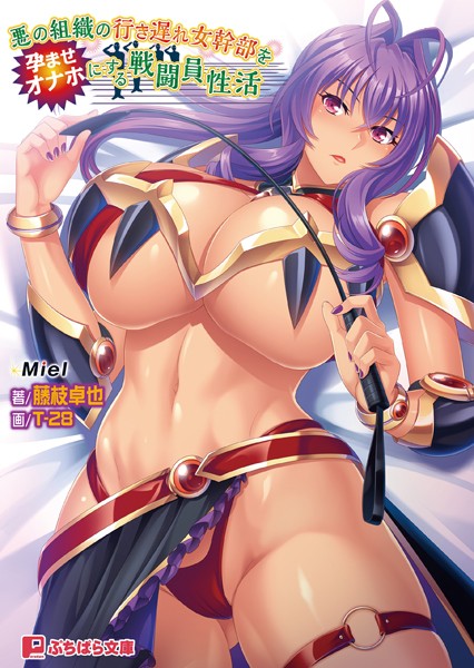 Miel❤女戦士-悪の組織の行き遅れ女幹部を孕ませオナホにする戦闘員性活/