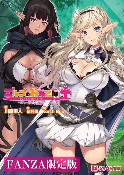 North Box❤ファンタジー-エルフのお嫁さん 〜ハーレム婚推奨〜【FANZA限定版】/