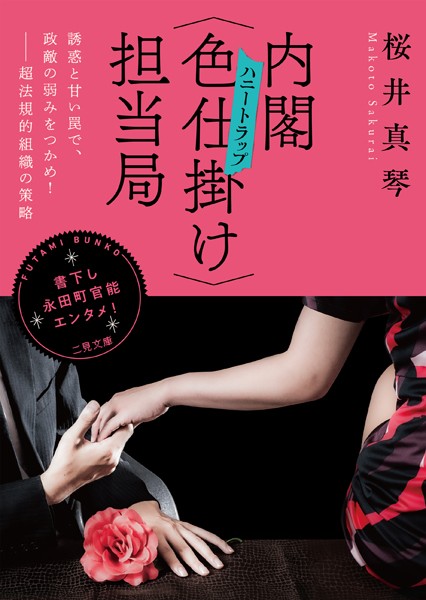 桜井真琴❤-内閣〈色仕掛け〉担当局/