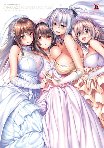 ピロ水❤単行本-アマカノ〜Second Season〜＋（プラス）ビジュアルファンブック【FANZA限定特典付き】/