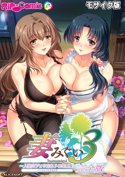 BENETTY❤単行本-妻みぐい3 〜人妻たちとの忘れられない夏〜 デジタルコミカライズ モザイク版【完全収録】/