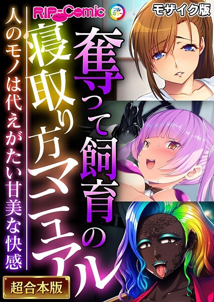 BENETTY❤フルカラー-奪って飼育の寝取り方マニュアル 〜人のモノは代えがたい甘美な快感〜【超合本シリーズ】 モザイク版/